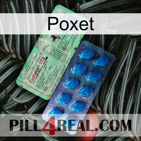 Poxet new02.jpg